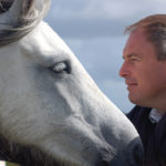 horse acupuncture New Jersey new hope Clinton NJ holistic health healthy horses equine acupuncture near me